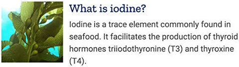 Sea Iodine 1000 mcg, 150 Cápsulas Vegetais (Pacote com 2) – Suplemento Natural de Iodo de Algas Marinhas e Fucus - Life Extension