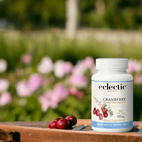 Cranberry Fresco Congelado e Desidratado | Suporte ao Trato Urinário | 90 CT (300 mg) | Não-OGM - ECLECTIC INSTITUTE