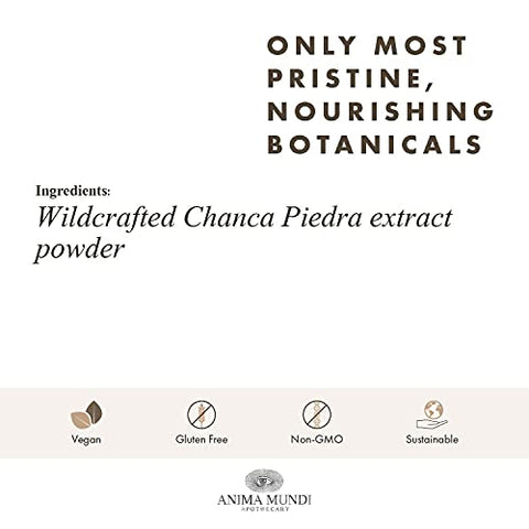 Anima Mundi Apothecary - Anima Mundi Chanca Piedra em Pó – Suplementos Anima Mundi – Quebra Pedra em Pó para Chá – Extrato de Quebra Pedra Selvagem – Fígado, Vesícula Biliar – 100g