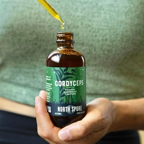North Spore - Extrato de Cordyceps em Tintura Líquida | Gotas Diárias para Energia, Resistência, Desempenho | Cordyceps Militaris Orgânico, 100% Corpos Frutíferos | Não-OGM, Vegano – 60ml