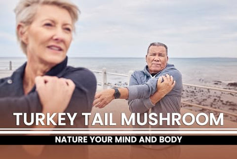 PURE ORIGINAL INGREDIENTS - Turkey Tail Mushroom Puro Original (730 Cápsulas) – Ingredientes Puros, Verificados em Laboratório