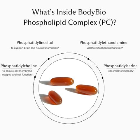 Phosphatidylcholine 60 Softgels – Potencializador Nootrópico para a Saúde Cerebral – Clareza Mental para Foco e Memória – Neuroproteção para Envelhecimento Saudável - BodyBio