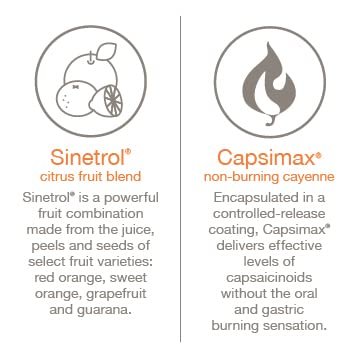 Daily Fat Burner – Suporte para Composição Corporal | Queimador Diário de Gordura - Youtheory