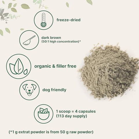 Pó de Cogumelo do Rabo de Peru Orgânico Micro Ingredients (Extrato 50:1), 227g | Liofilizado com Polissacarídeos Ativos, Suporta a Resposta Imune