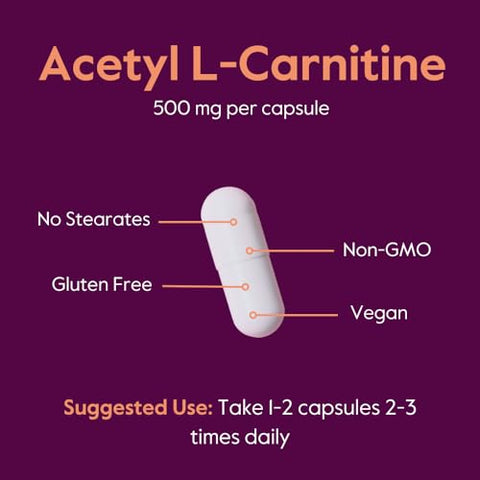 Acetyl L-Carnitine 500mg (240 Cápsulas Vegetarianas) – Sem Estearatos – Vegano – Não Transgênico – Livre de Glúten - BESTVITE