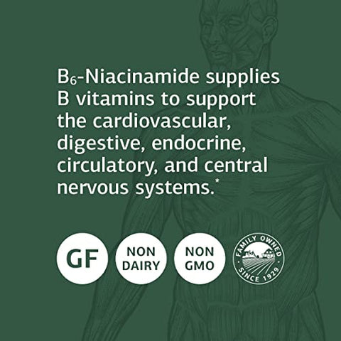 Standard Process Inc. - Standard Process B6-Niacinamide – Metabolismo Energético, Saúde Cardíaca e Digestão – Suplemento com Vitamina B6, Niacina, Ácido Ascórbico, Cogumelo Reishi, Cogumelo Shiitake e Mais