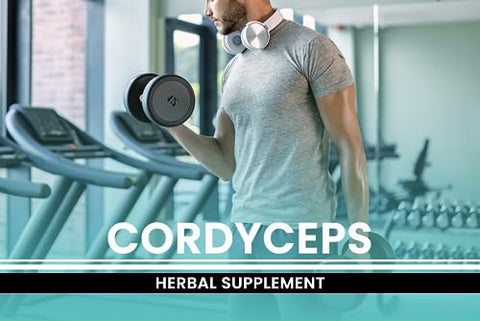 PURE ORIGINAL INGREDIENTS - Cordyceps Puros e Originais, Sem Preenchedores de Magnésio ou Arroz, 365 Cápsulas – Ingredientes Autênticos e de Qualidade