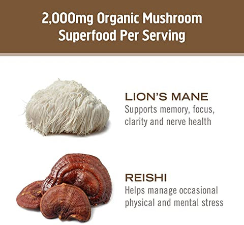Mushroom Superfood Cápsulas de Pó de Cogumelo para o Cérebro, 90 Unidades, 30 Dias, Lion’s Mane, Reishi Blend Plus Folate, Clareza Mental, Suplemento de Cogumelo - OM