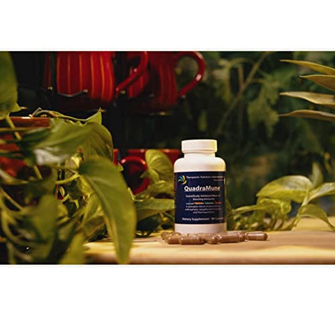 QuadraMune - Suplemento Dietético Natural Multi-Patenteado para Suporte Imunológico com uma Mistura Sinérgica de Pterostilbeno, Extrato de Broto de Brócolis e Extrato de Chá Verde – Marca em Destaque