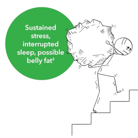 Calm CP – Reduz Cortisol – Folha de Banaba, Fosfatidilserina – 60 cápsulas - NeuroScience