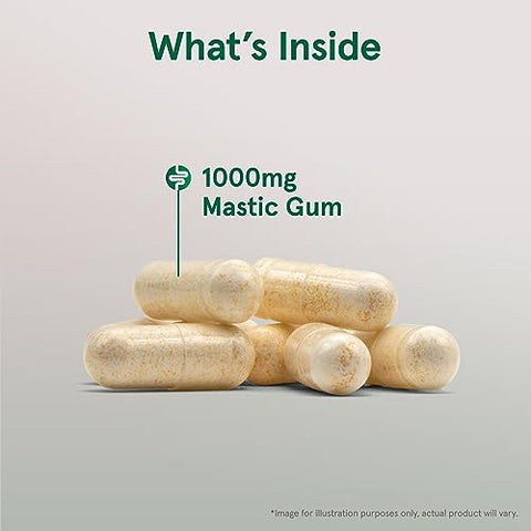 Mastic Gum 1000 mg – Suplemento Dietético para Suporte à Saúde Gastrointestinal – 60 Cápsulas Vegetais – 30 Dias de Fornecimento - Jarrow Formulas