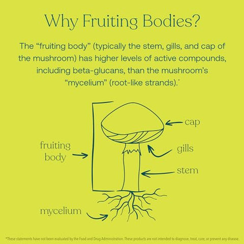 Mushroom Myco-Renew Blend – 60 Cápsulas – Suporte Diário ao Sistema Imunológico – Orgânico - True Grace