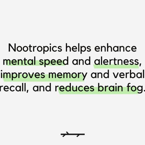 FOCUS – Suplemento Natural para Memória, Foco, Aprendizado, Atenção e Cognição – Ginkgo Biloba, Bacopa, Gotu Kola, Ashwagandha, Mucuna – 60 cápsulas - PALO