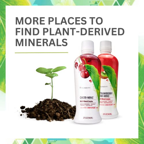 Minerais Líquidos Derivados de Plantas – 77 Minerais Traços Naturais Não Alterados – 19.000mg de Sólidos Minerais de Plantas – Forma Coloidal de Xisto Húmico – (32 oz Pacote de 4) - Youngevity