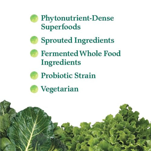 Garden of Life - Garden Of Life – Superalimento em Pó de Vegetais Integrais Perfect Food Green, 600g