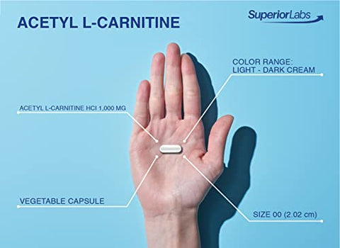 Acetyl L-Carnitina 1000mg | 200 cápsulas | Absorção Máxima | Cápsulas Vegetais Puras | Zero Aditivos Sintéticos | Absorção Superior - Superior Labs