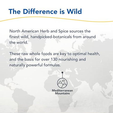 NORTH AMERICAN HERB & SPICE - North American Herb: Óleo de Orégano Selvagem – 30ml | Poderoso Antioxidante Natural