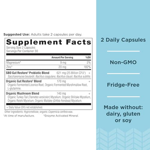 Probióticos Ancient Nutrition, SBO Probiotics Gut Restore 60 Ct, Promove Saúde Intestinal, Suporte Digestivo e Imunológico, Livre de Glúten, Mistura de Superfoods Antigos, 25 Bilhões de UFCs* Por