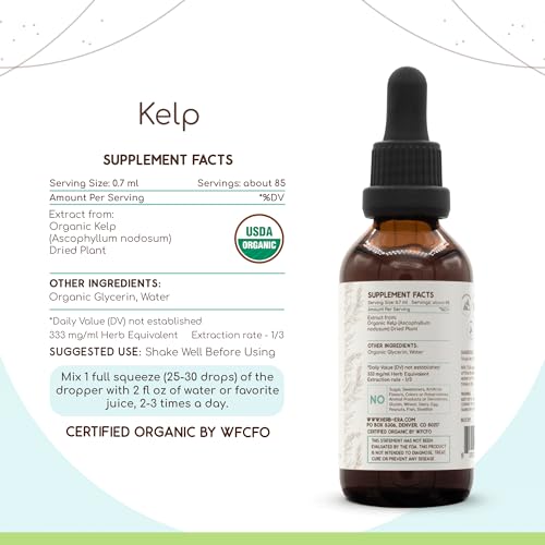 HerbEra - Kelp B60 Tintura Orgânica USDA | Extrato Livre de Álcool, Gotas Herbais de Alta Potência | Kelp Orgânico Certificado (Ascophyllum nodosum) Planta Seca (60 ml)