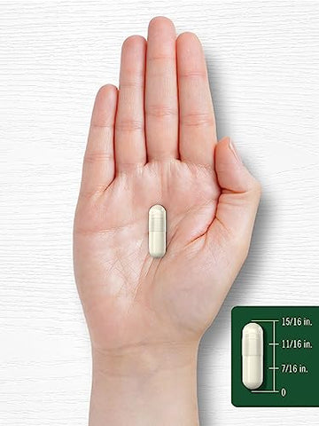 Cápsulas de Vinagre de Maçã | 2400mg | 240 Unidades | Suplemento Sem OGM, Sem Glúten - Carlyle