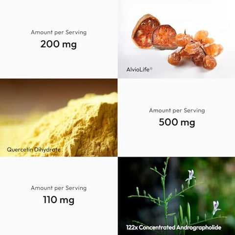 BigVita - BIGVITA – Suplemento Vegano para Saúde Pulmonar – Suporte Detox para os Pulmões – Livre de Glúten – 100% Natural – Marca BIGVITA