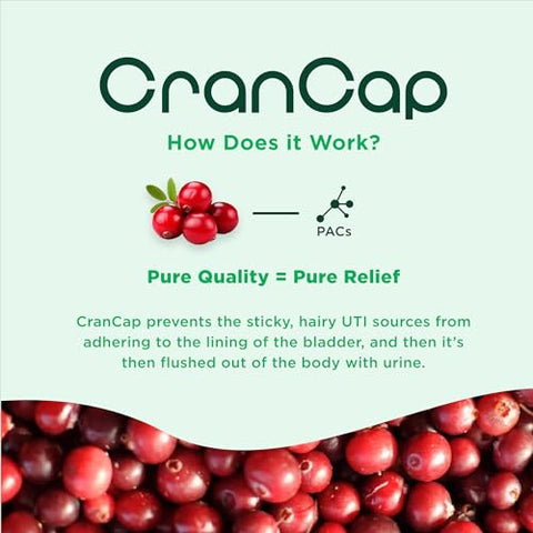 CranCap - Heale – Cranberry Pills 90 Cápsulas – Saúde do Trato Urinário – 36mg de PACs Potentes – Não Transgênico, Vegano, Sem Glúten
