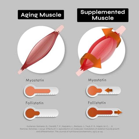 Neurogan - Cápsulas de Epicatequina Potente 500mg, 1000mg/porção – Suporte Avançado para Aumento de Óxido Nítrico e Desenvolvimento Muscular – Marca: [Nome da Marca]