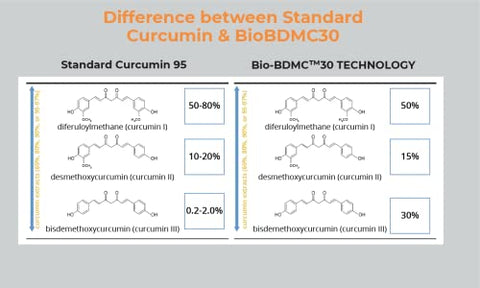 BIOBDMC - NovoCurcumin-BioBDMC30 – 30 Cápsulas – Curcumina Altamente Aprimorada da Próxima Geração