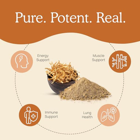 Cordyceps Cápsulas – Extrato de Cogumelo de Desempenho com Militaris Orgânico para Energia | 100% Natural e Potente - Real Mushrooms