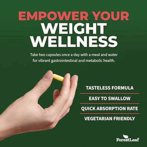 ForestLeaf - Berberine 1300mg por Porção – Ultra Potência Testada 97%% Berberine HCl com Canela do Ceilão e Melão Amargo – 60 Cápsulas