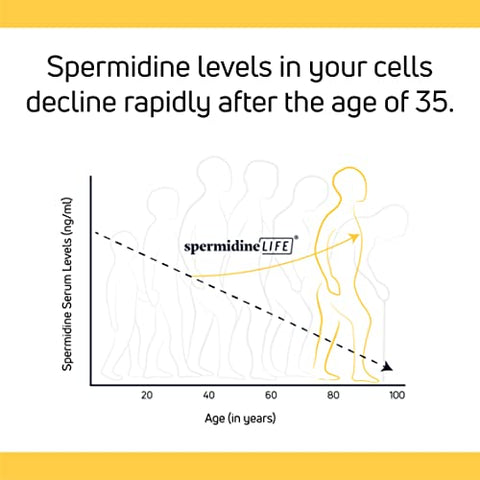 LONGEVITY LABS + - spermidineLIFE: Suplemento Natural à Base de Plantas, Extrato de Germe de Trigo com Alto Teor de Spermidina e Zinco para Renovação Celular, Vegano, 60 Cápsulas