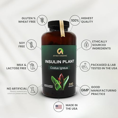 Afiyah Organic - Cápsulas de Costus Igneus (Planta da Insulina) de Qualidade Premium – Fácil de Engolir 240 Cápsulas Vegetais (2 Meses de Suprimento) – Fabricado nos EUA – Programa Completo de Suporte à Saúde