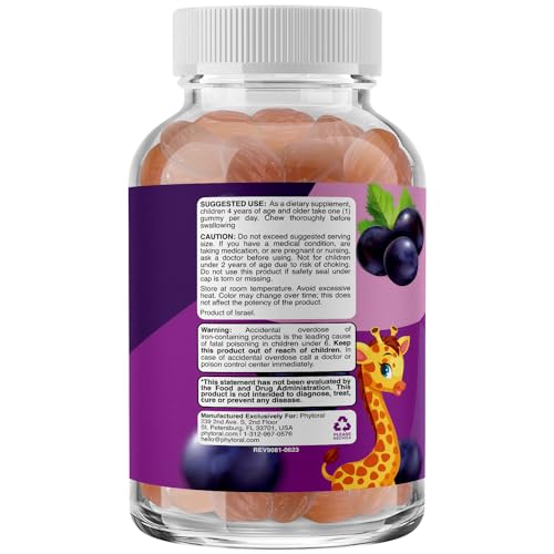 Phytoral - Multivitamínico com Ferro em Gomas para Crianças – Vitaminas Mastigáveis em Goma com Ferro para Auxílio na Concentração e Energia Natural – Vitaminas em Goma com Ferro para Suporte Imunológico e Mental