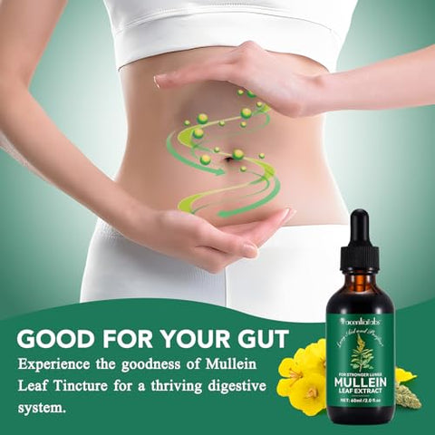 QJCWXIAOX - Gotas de Mullein para os Pulmões – Extrato de Folha de Mullein com Clorofila, Limpeza Pulmonar e Suporte Respiratório – 2 Frascos
