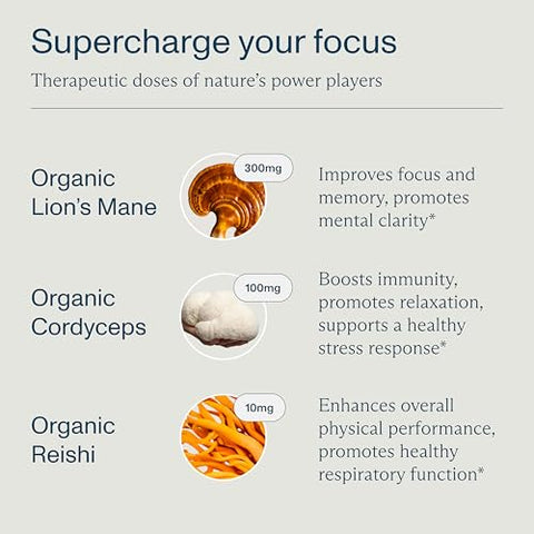 Gomas de Cogumelo do Leão para Função Cerebral, Foco, Memória, Energia, Impulso Imunológico, Resistência – Complexo de Cogumelo Leão do Mane, Reishi, Cordyceps – 60 gomas - FOCL