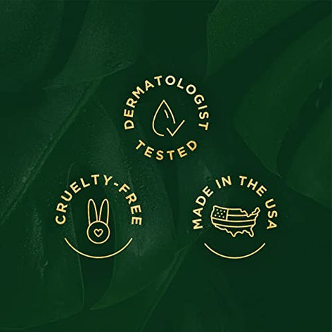 Tree of Life Beauty - Sérum Tree of Life com Vitamina C e Retinol – 30ml