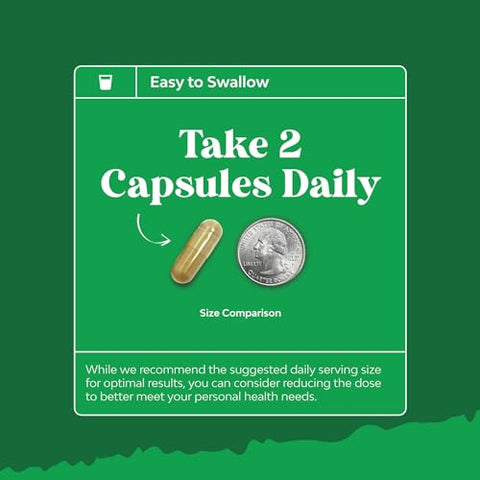 Natures Craft - Milk Thistle Liver Support – Suplemento Herbal para o Fígado com Extrato de Cardo Mariano, Raiz de Dente-de-leão, Extrato de Alcachofra, Bitartarato de Colina, Berberina e Chicória – Marca em Destaque