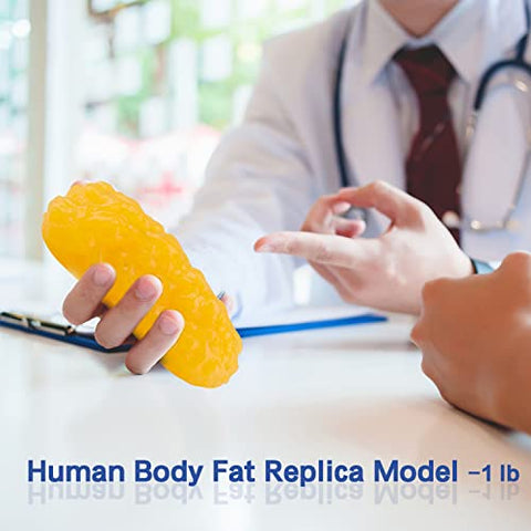 LYOU - Réplica de Gordura Corporal Humana, Modelo Anatômico de 454g para Exibição em Aulas de Anatomia, Mantenha-se Saudável, Motivação para Perda de Peso