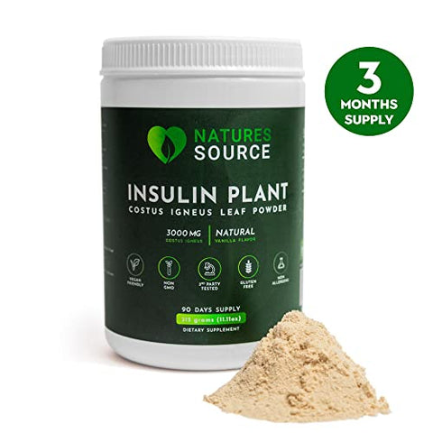 Nature's Source - Natures Source – Pó de Folha de Planta de Insulina (Costus Igneus) (1 Frasco) – 315g (Fornecimento de 90 Dias) – Feito nos EUA – Agora com Sabor Natural de Baunilha