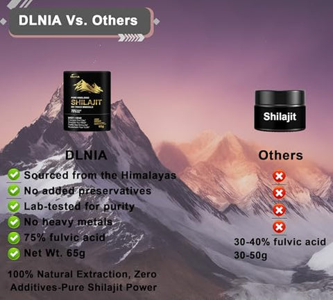 DLNIA - Shilajit Puro Himalaia Orgânico Resina de Shilajit Suplemento – Grau Ouro com 85 Minerais Traços e 75% de Ácido Fúlvico, Energia Total