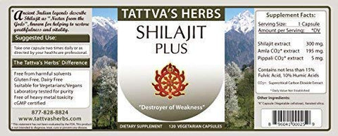 Tattva's Herbs - Shilajit Herbal Supplement: Cápsulas de Shilajit Himalaia, 2 Pacotes, 240 Unidades, 25 Anos de Serviço Premium