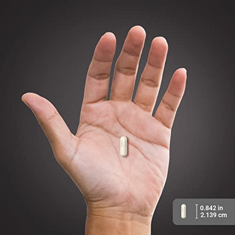 Cápsulas de L-Glutamina | 2000 mg | 240 Unidades | Suplemento de Aminoácidos Livre de OGM e Glúten | Forma Livre | Não Repetir Palavras - Piping Rock