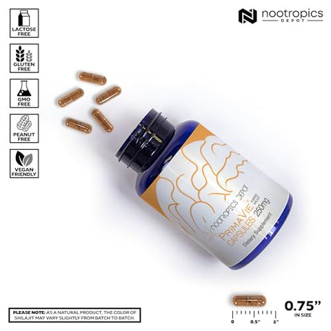 PrimaVie Shilajit Cápsulas | 250mg | 90 Unidades | Extrato Puro | Erva Ayurvédica | Suporta Função Mitocondrial Aumenta Resistência - Nootropics Depot