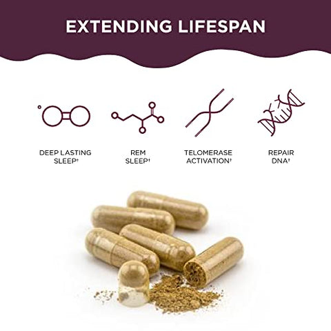 Telomere Length | Suplemento para Alongamento de Telômeros e Reparo de DNA, Anti Envelhecimento, Saúde Celular, Suporte a Células-Tronco | Ingrediente Clinicamente Comprovado AC11® | Cápsulas de 578 mg - Healthycell