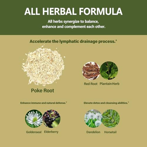 Eubrition - Poke Root Natural Liquid Drops – Embrace Wellness, Não-OGM, Vegano, Suplemento Herbal Livre de Álcool, Desenvolvido para Suporte Linfático, Imunológico e Detox, 60 ml