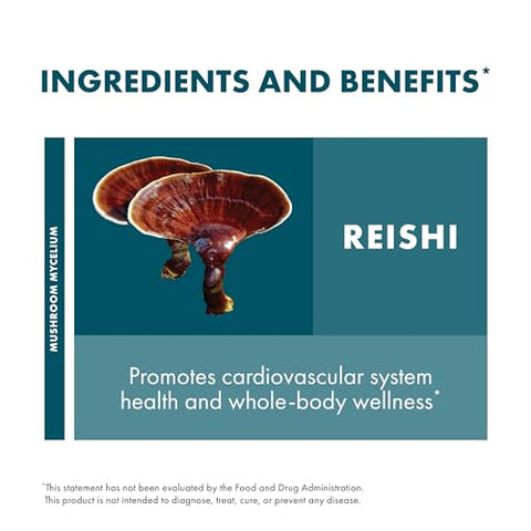 Extrato de Reishi Host Defense – Coração: Benefícios para a saúde em destaque