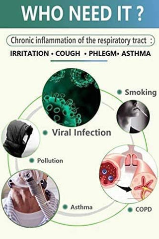 WhaazzPop - GB Golden Beaver® Limpeza Pulmonar – Agente Eficaz para Pessoas em Risco ou Desafiadas por Infecções Virais, Tabagismo, DPOC, Poluição – 7 Ingredientes Naturais. 2 Frascos