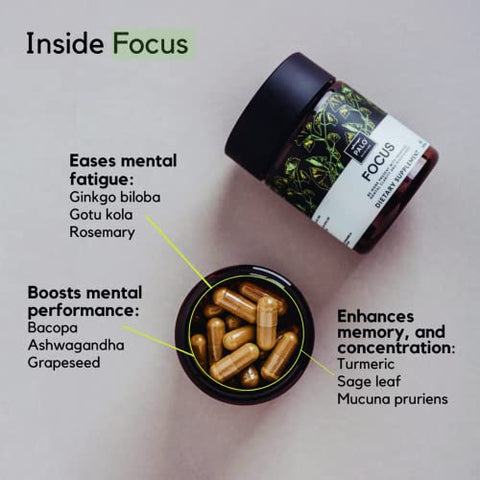 FOCUS – Suplemento Natural para Memória, Foco, Aprendizado, Atenção e Cognição – Ginkgo Biloba, Bacopa, Gotu Kola, Ashwagandha, Mucuna – 60 cápsulas - PALO