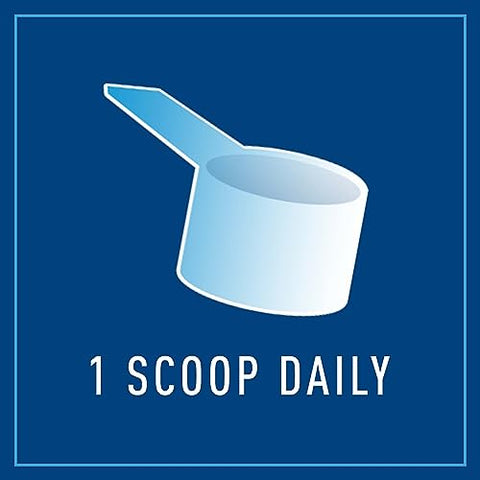 IntestiNew – Fórmula de Suporte para o Revestimento Intestinal, Suplemento em Pó para Saúde Digestiva, L-Glutamina, Livre de Laticínios, Soja e Glúten, 160g - Renew Life