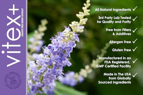 VITEX | Suplemento de Vitex Chasteberry para Mulheres | Equilíbrio Hormonal* e Suporte à Fertilidade* | 650mg por Porção de Extrato de Bagas de Vitex em Pó | 60 Cápsulas - VH Nutrition